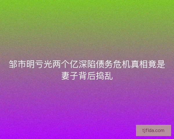 邹市明亏光两个亿深陷债务危机真相竟是妻子背后捣乱
